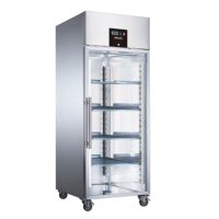 BLIZZARD BF1SSCR Ventilated Gastronorm Glass Door Freezer 650L